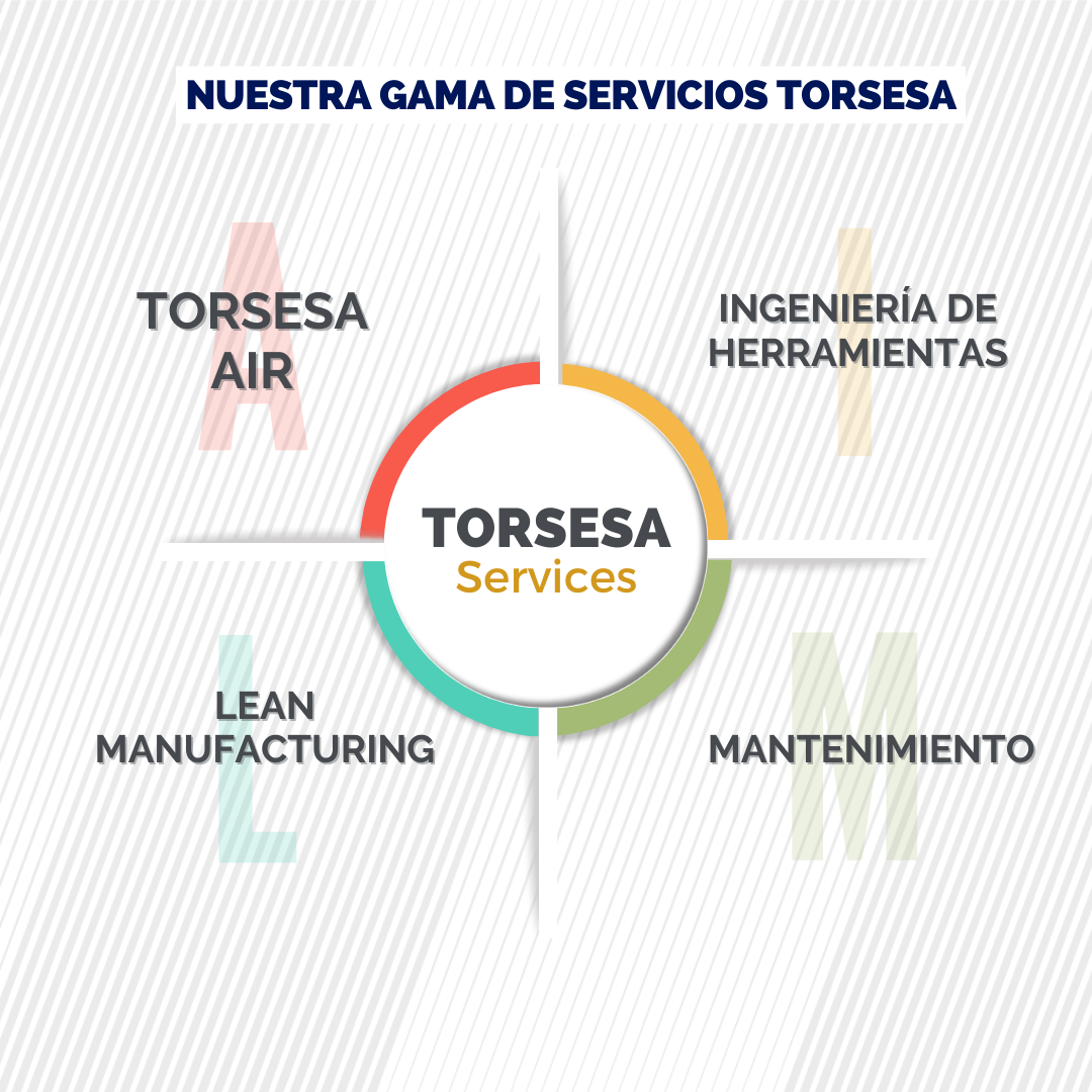 torsesa services